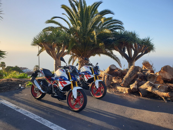 Zwei BMW-Motorräder stehen vor malerischen Palmen auf Teneriffa, bereit für eine digitale Buchung bei JS Motos Tenerife.